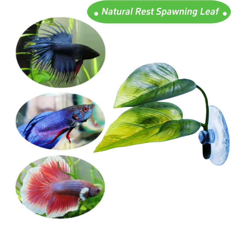 Fournitures pour animaux de co - Planted Aquarium Betta avis et prix