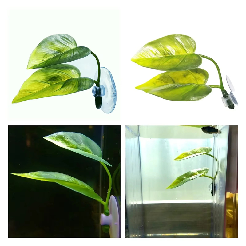 Fournitures pour animaux de co - Planted Aquarium Betta avis et prix