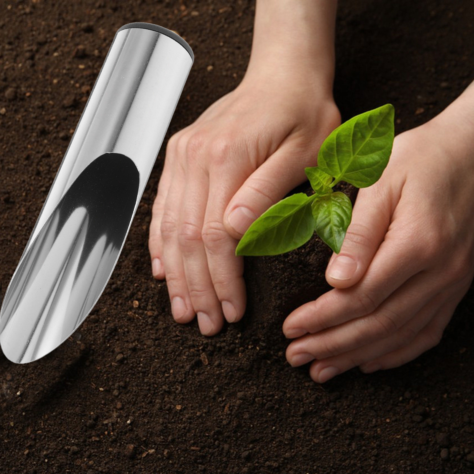 Pelle de jardin en acier inoxy - Tissue Culture Plant avis et prix