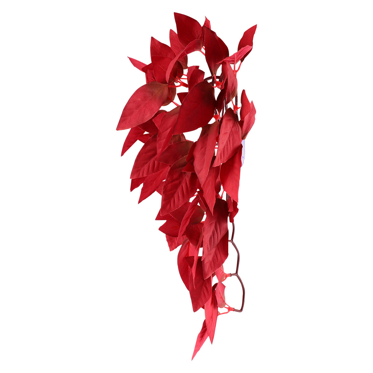 Plantes d'aquarium artificiell - Planted Aquarium Betta avis et prix