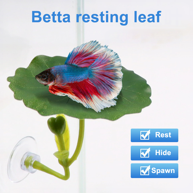 Hamac en feuille verte pour po - Planted Aquarium Betta avis et prix