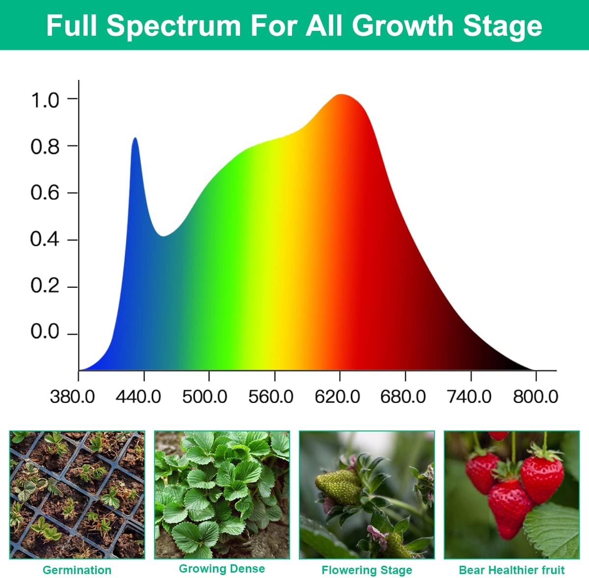 LED élèvent des lampes plante  - Aquarium Plant Seeds avis et prix