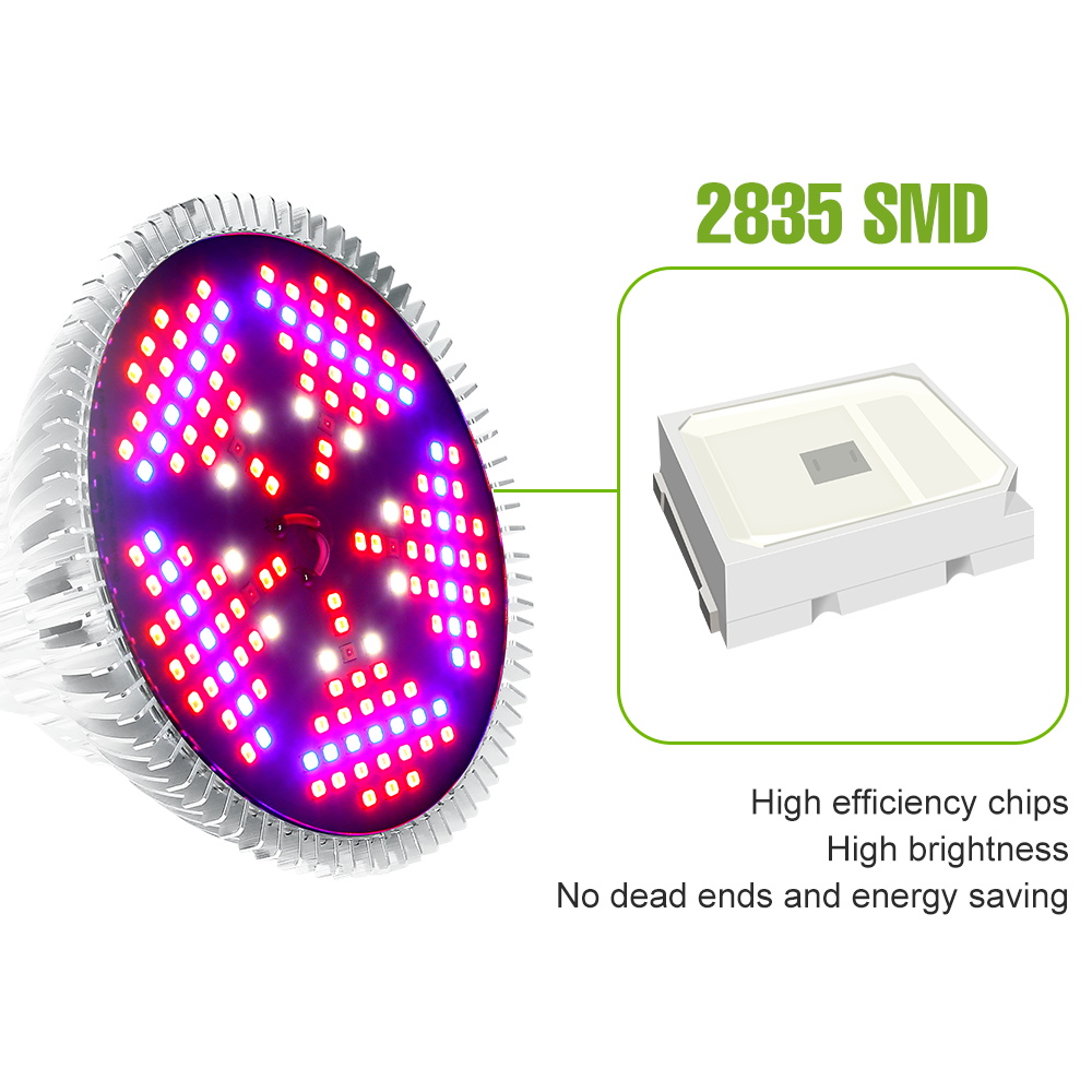Ampoule LED pour plantes à spe - Aquarium Plant Root Tabs avis et prix