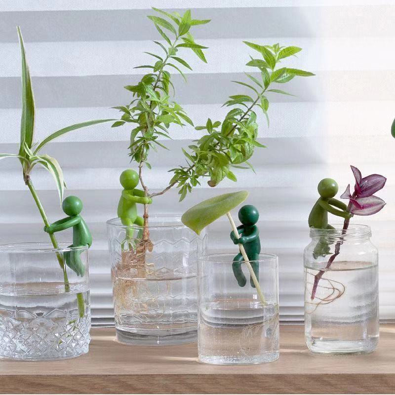Figurine décorative pour plant - Tissue Culture Plant avis et prix