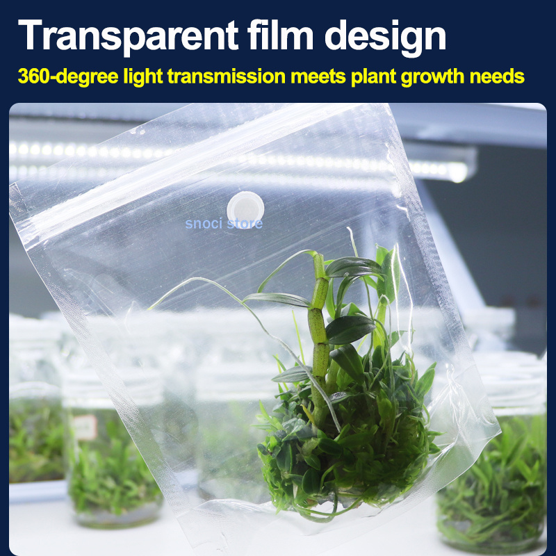 Film d'étanchéité pour culture - Tissue Culture Plant avis et prix