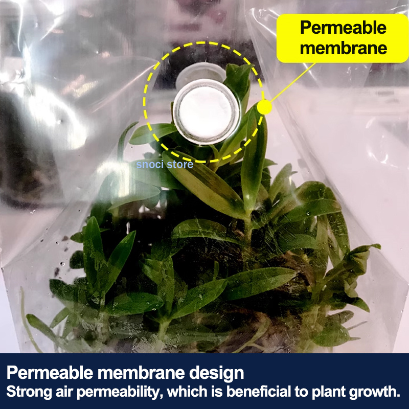 Film d'étanchéité pour culture - Tissue Culture Plant avis et prix