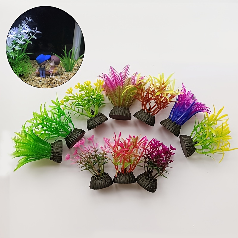 Plantes d'aquarium artificiell - Aquarium Plant Seeds avis et prix