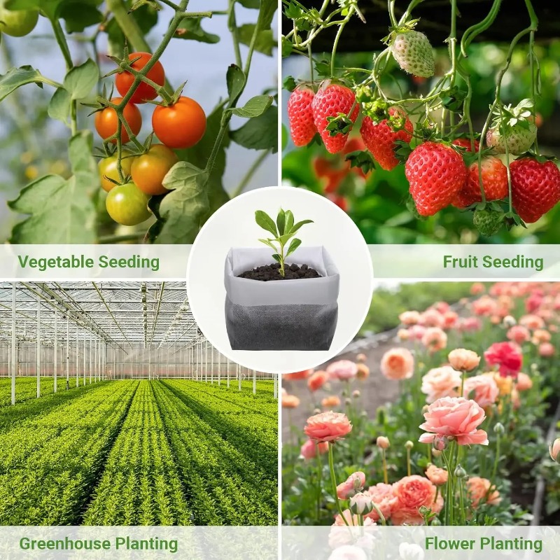 Sacs de culture pour plantes e - Tissue Culture Plant avis et prix