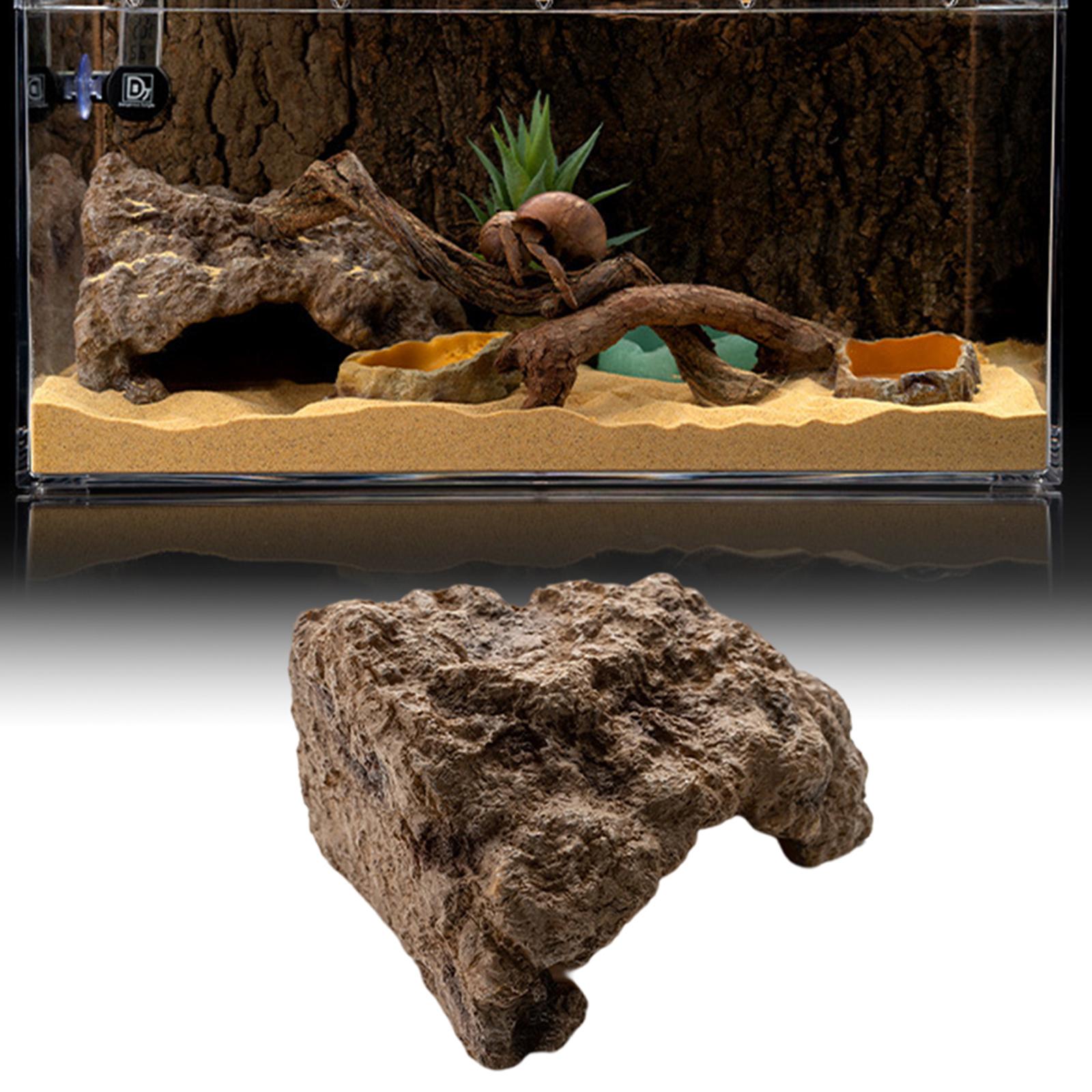 Résine Reptile cacher grotte d - Aquarium Planting Ideas avis et prix