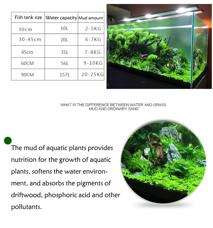 Sable d'Aquarium Astronomique  - Aquarium Plant Seeds avis et prix