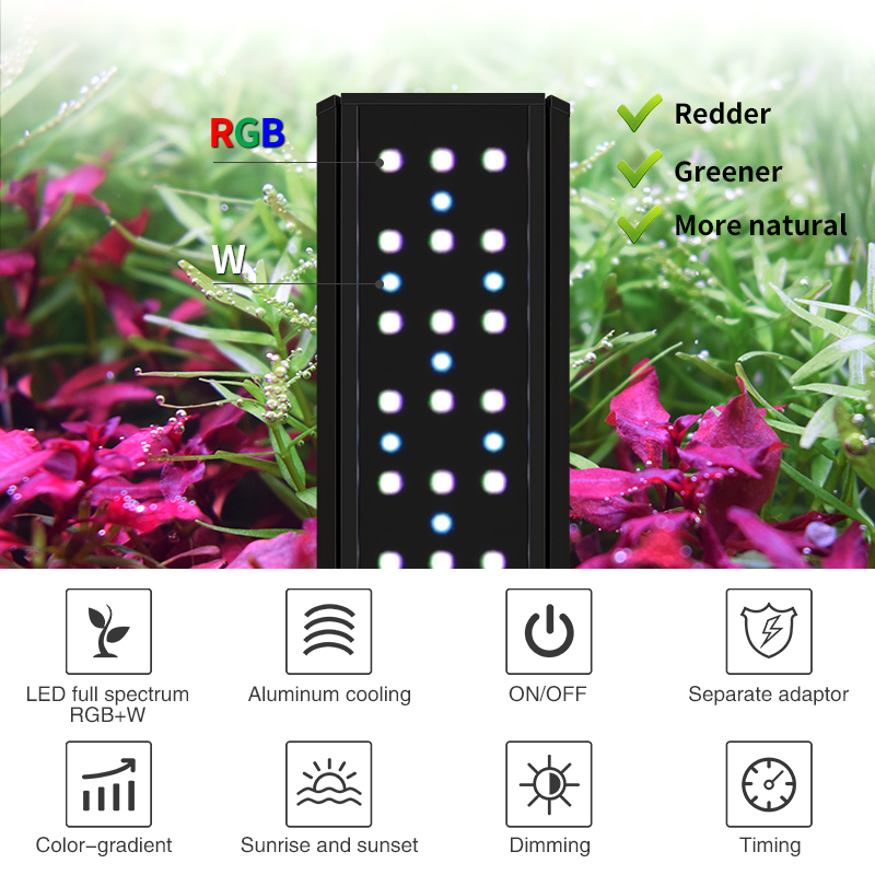 ZXY offre spéciale WEEKAQUA V4 - Planted Aquarium For Sale avis et prix