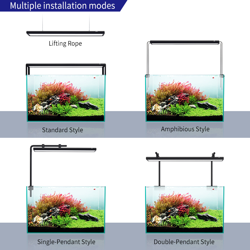 ZXY offre spéciale WEEKAQUA V4 - Planted Aquarium For Sale avis et prix
