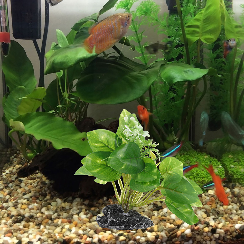 2 plantes artificielles pour a - Planted Aquarium Maintenance avis et prix
