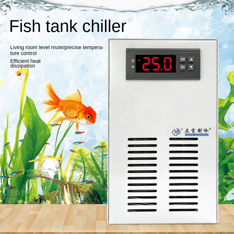 Ventes supérieures réservoir d - Planted Aquarium For Sale avis et prix