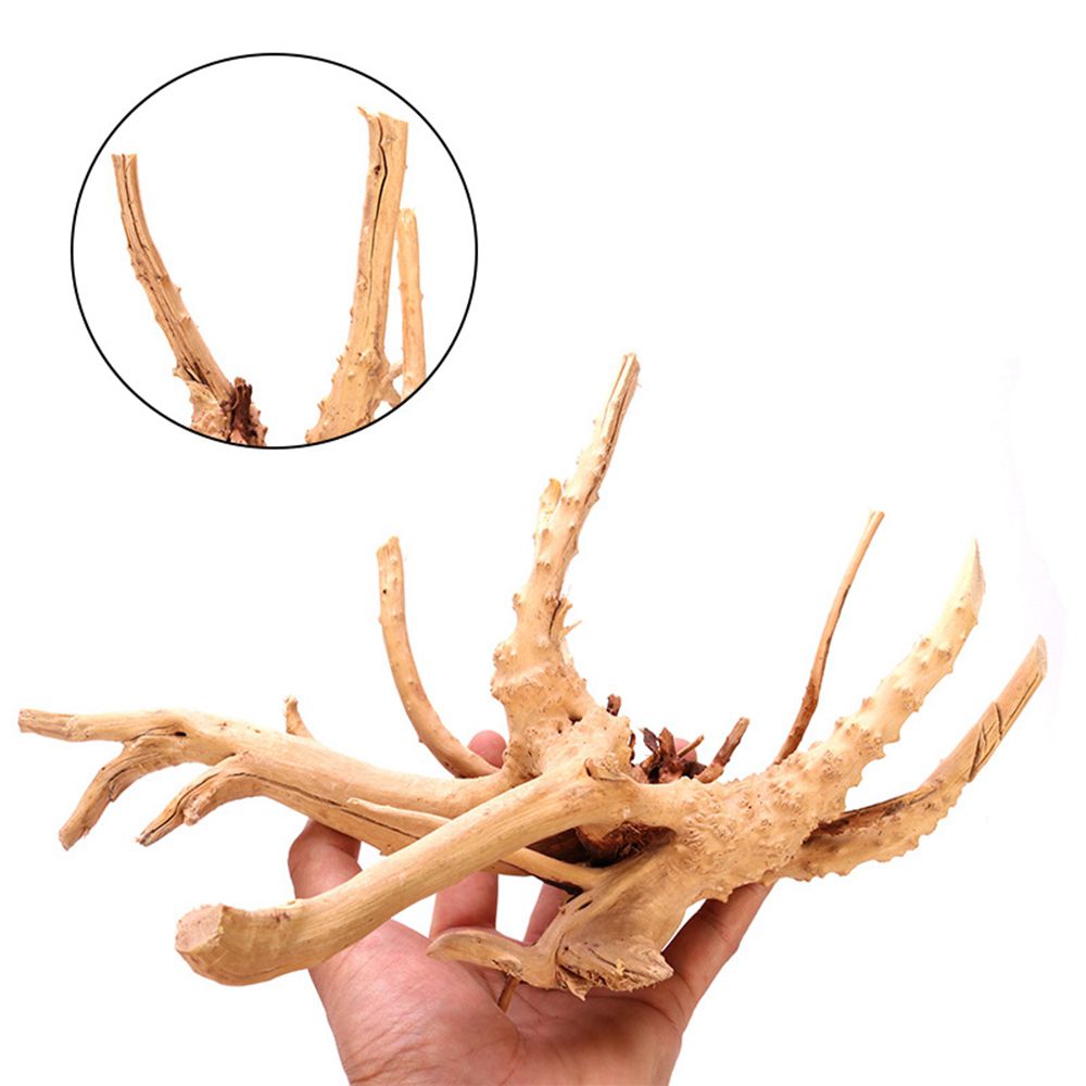 Tronc en bois naturel pour aqu - Aquarium Plant Root Tabs avis et prix