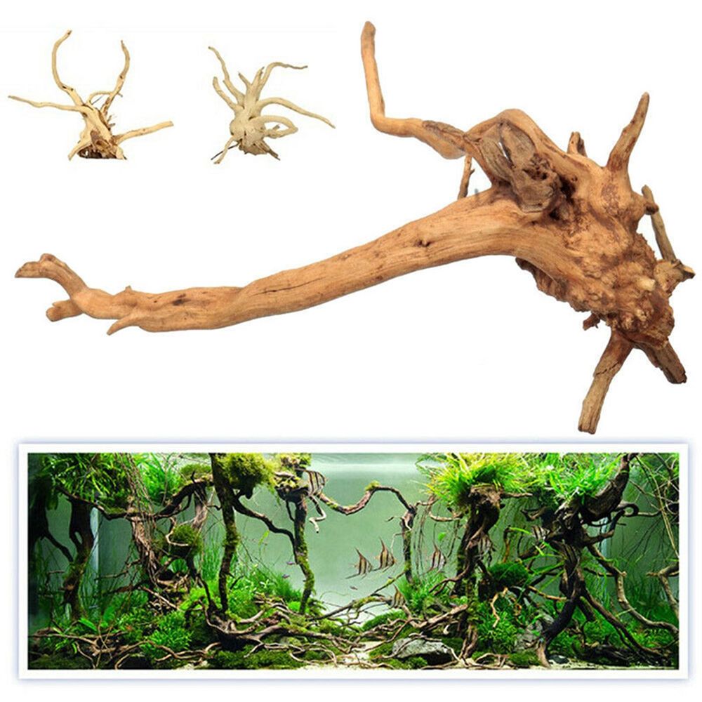 Tronc en bois naturel pour aqu - Aquarium Plant Root Tabs avis et prix