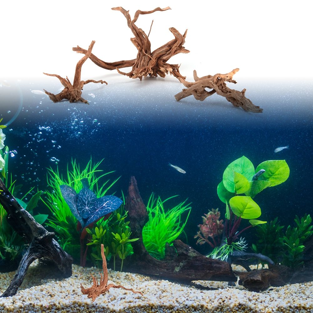 Tronc en bois naturel pour aqu - Aquarium Plant Root Tabs avis et prix