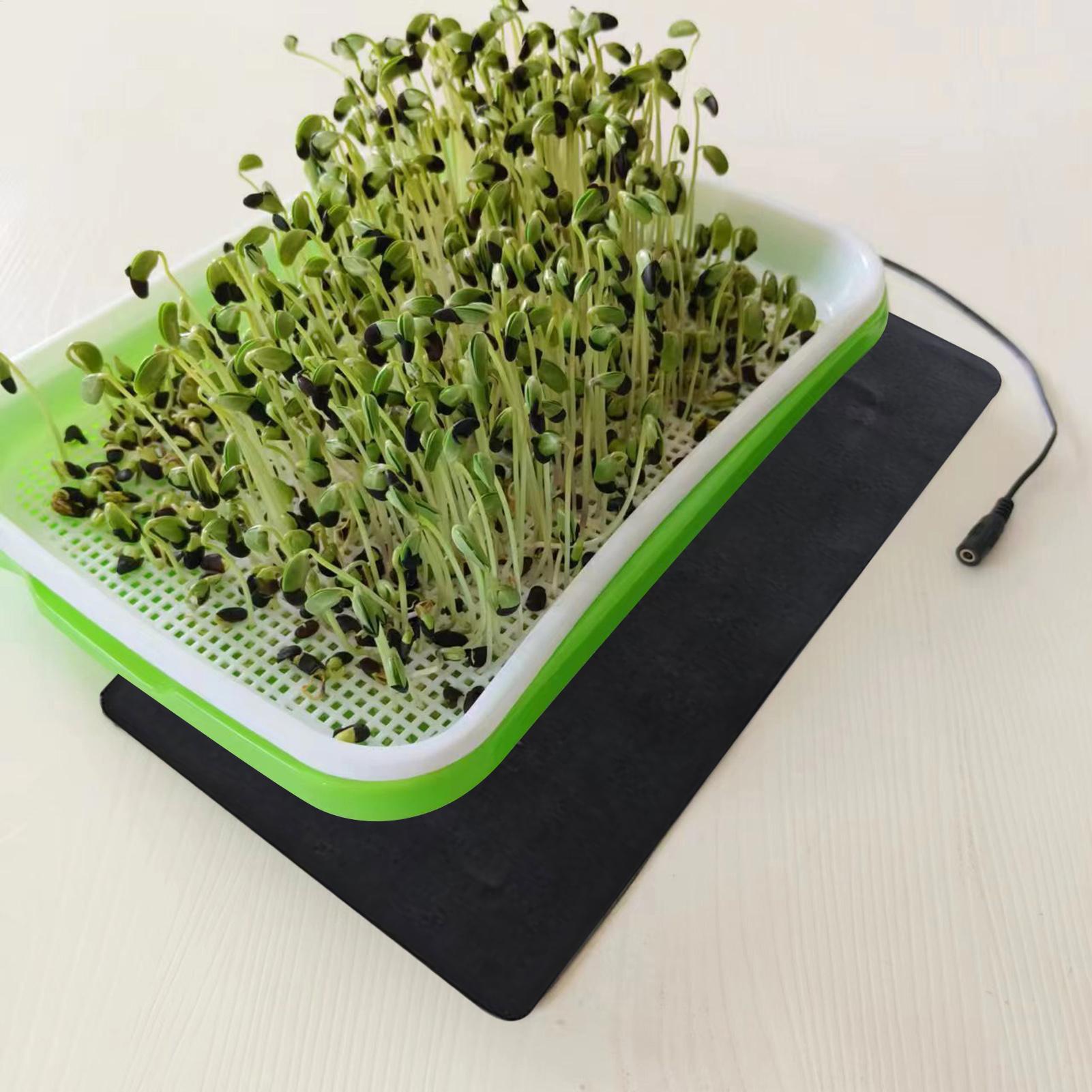 Tapis chauffants USB 8,5 W pou - Tissue Culture Plant avis et prix
