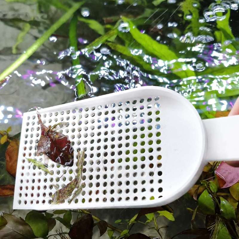 Épuisette à débris pour aquari - Planted Aquarium Maintenance avis et prix