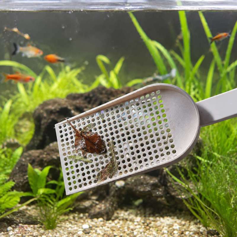 Épuisette à débris pour aquari - Planted Aquarium Maintenance avis et prix