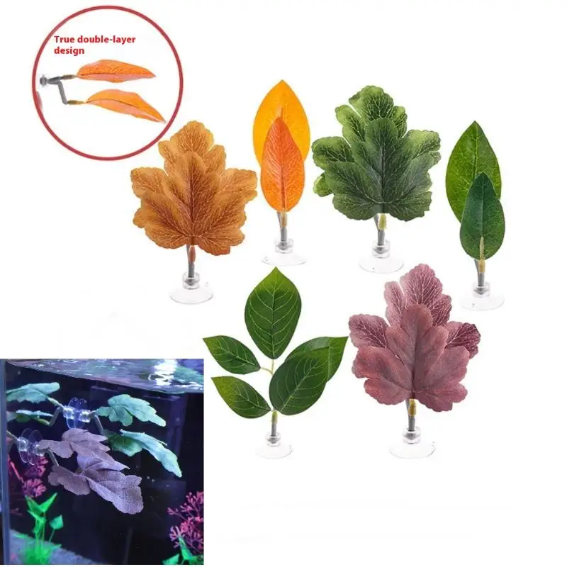 Betta feuille de poisson hamac - Planted Aquarium Betta avis et prix