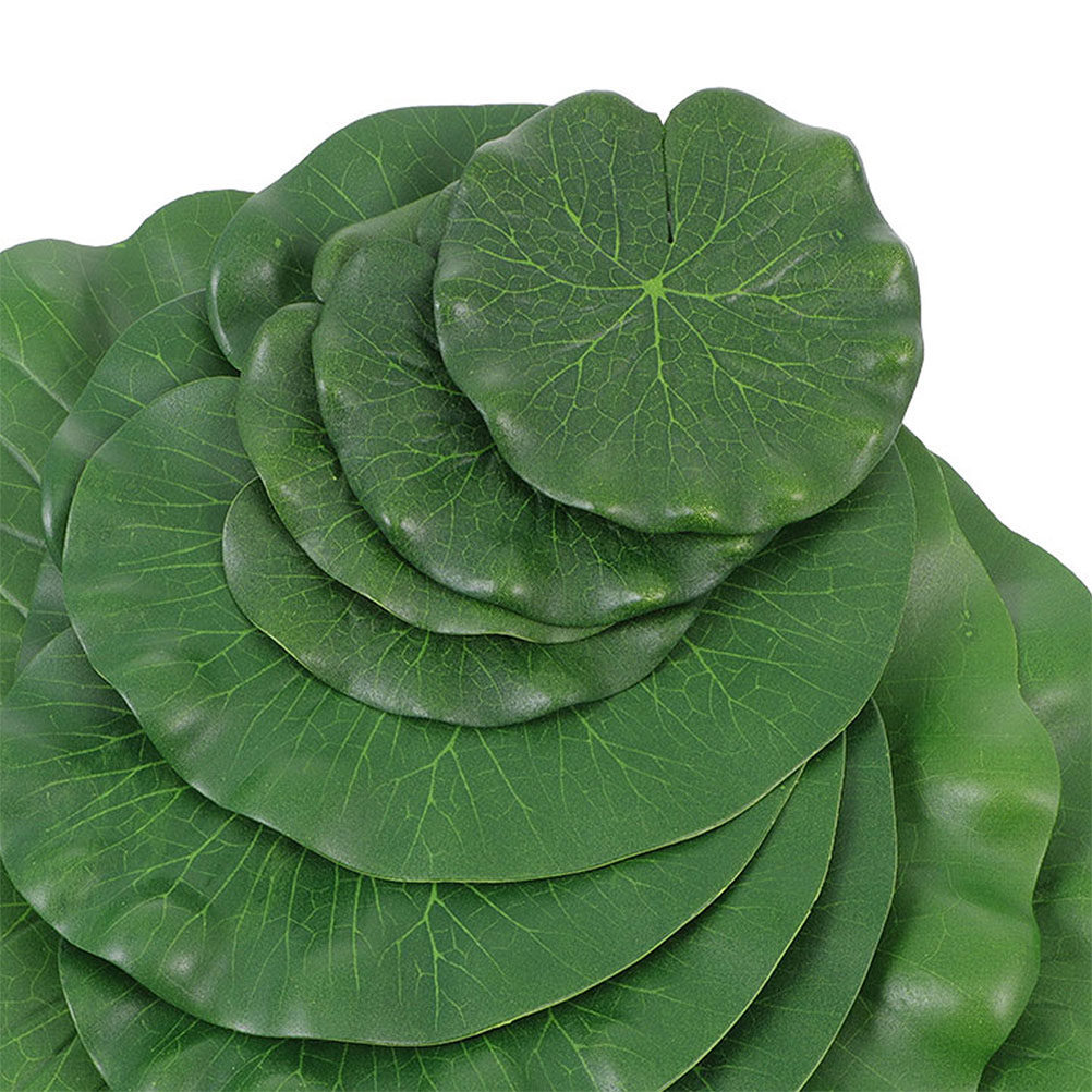 15 pièces de feuilles de nénup - Aquarium Plant Original avis et prix