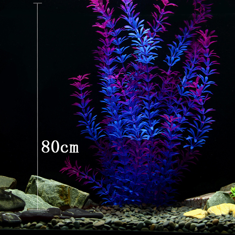 Plantes tropicales artificiell - Aquarium Plant Nursery avis et prix