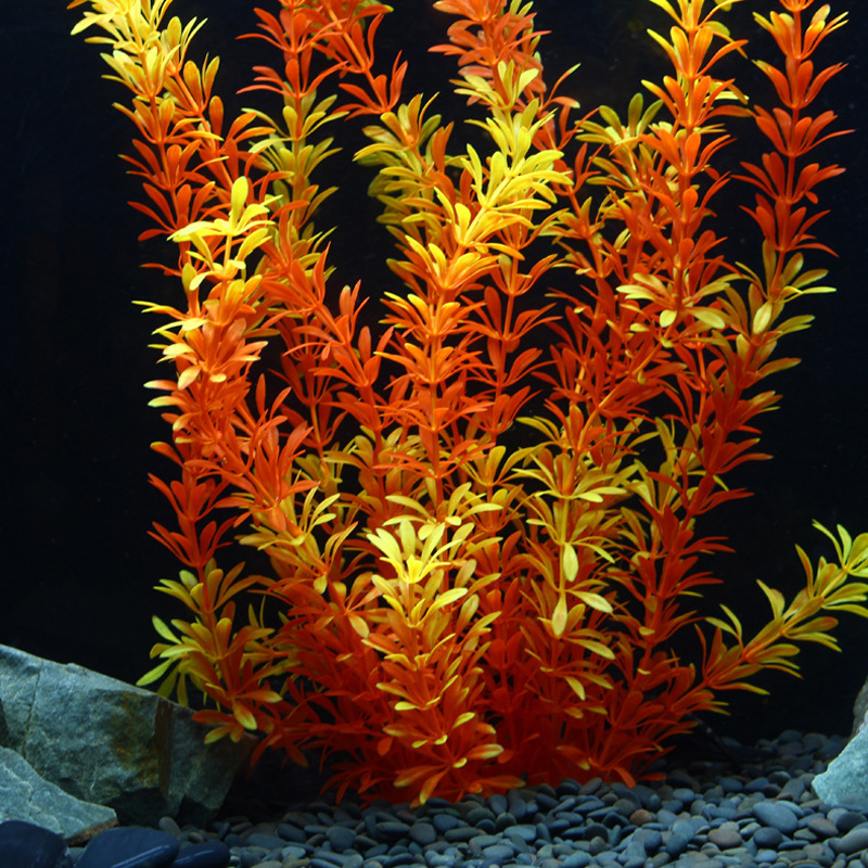 Plantes tropicales artificiell - Aquarium Plant Nursery avis et prix