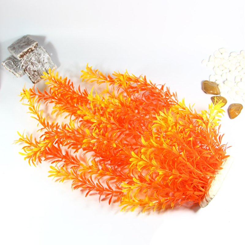Plantes tropicales artificiell - Aquarium Plant Nursery avis et prix