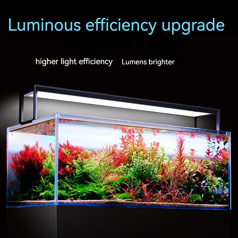NETLEA 540S/590S Aquarium spec - Aquarium Plant Display avis et prix