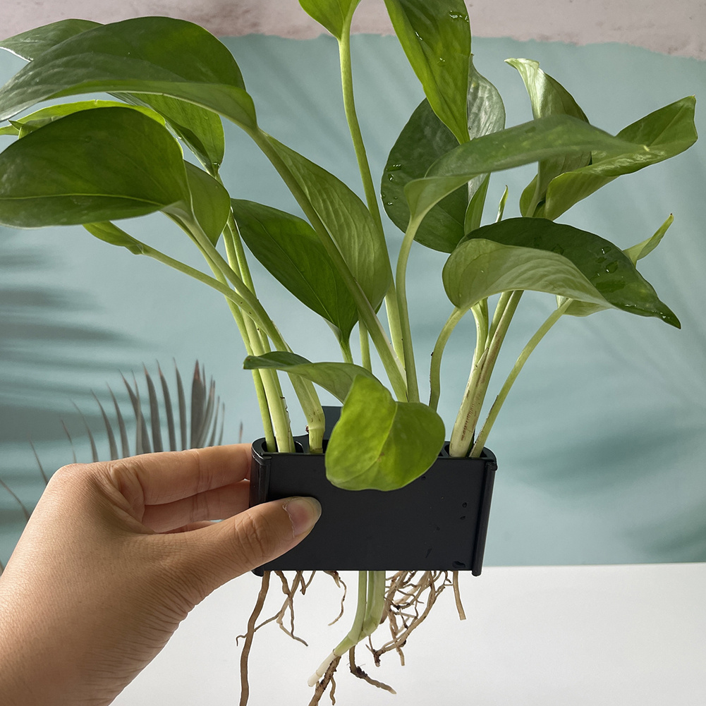 Support pour plantes d'aquariu - Aquarium Planted Tank Substrate avis et prix
