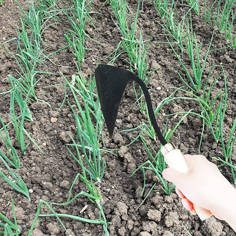Houe triangulaire de sillon po - Tissue Culture Plant avis et prix