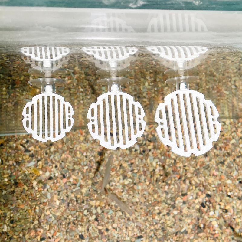 Plante ornementale en plastiqu - Planted Aquarium Betta avis et prix
