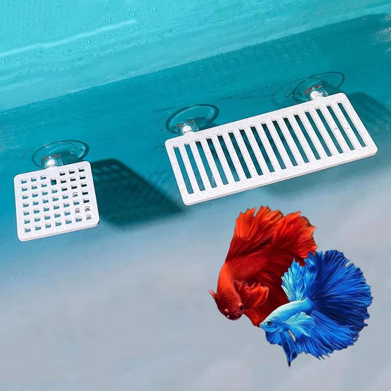 Plante ornementale en plastiqu - Planted Aquarium Betta avis et prix