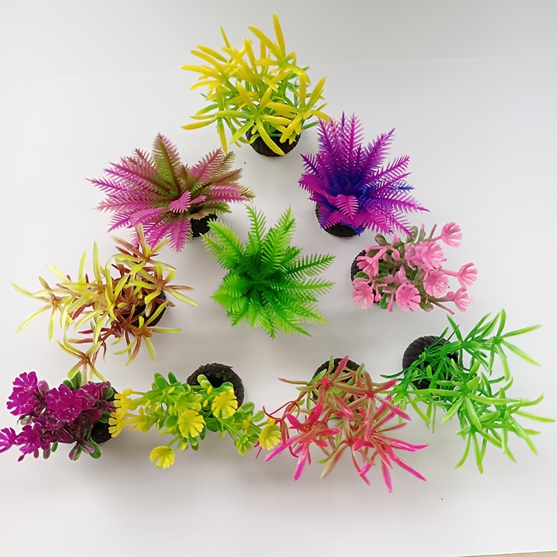 Plantes d'aquarium artificiell - Aquarium Plant Seeds avis et prix