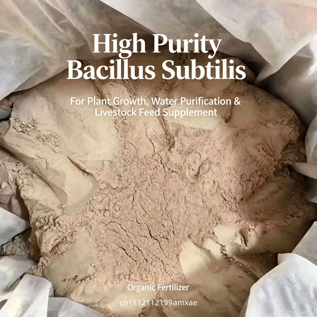 Poudre de Bacillus Subtilis à  - Planted Aquarium Fertilizer avis et prix