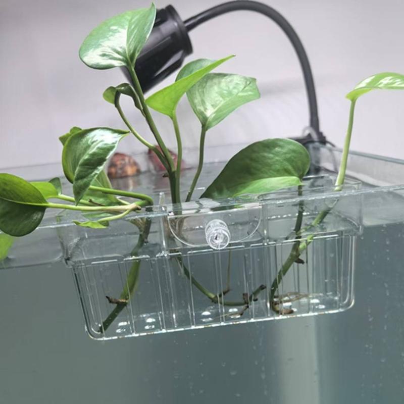 Panier hydroponique pour plant - Aquarium Plant Original avis et prix