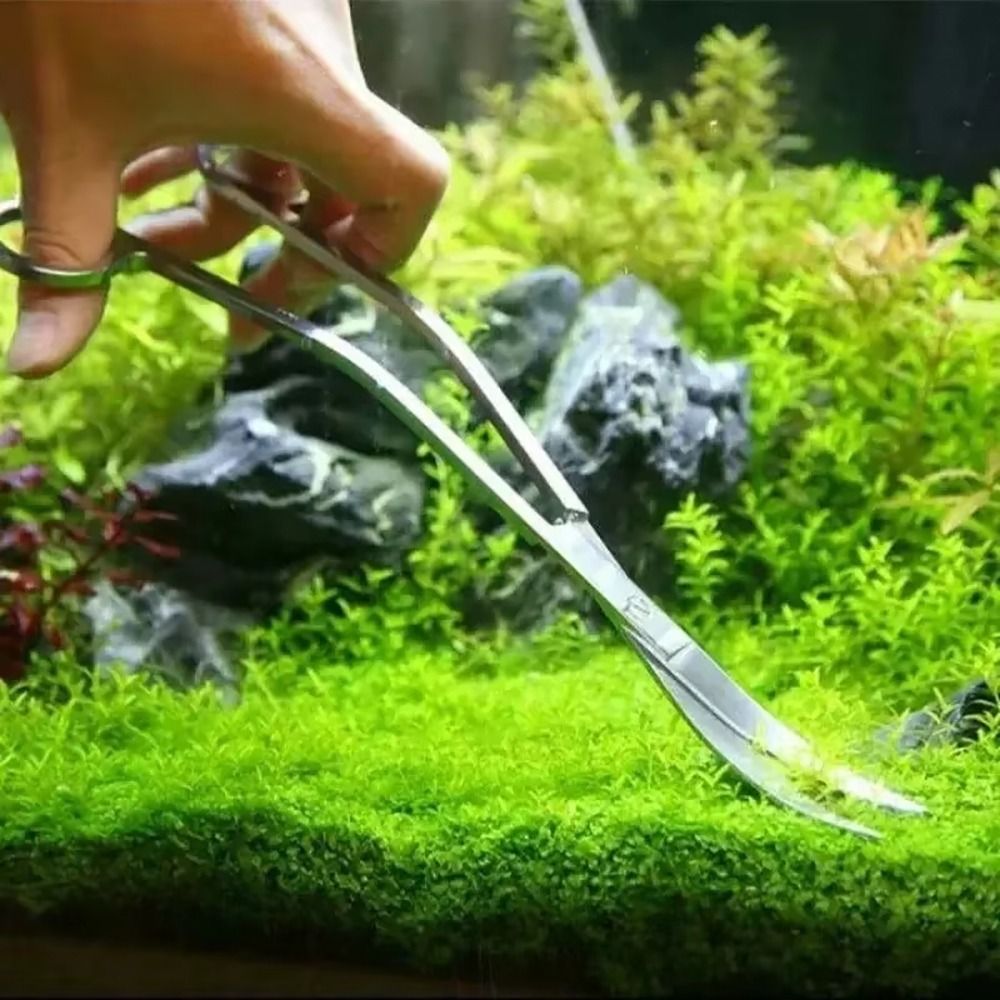1 pièce Ciseaux d'aquarium en  - Aquarium Plant Utensils avis et prix