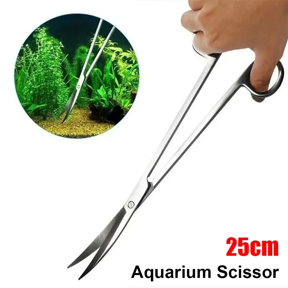 1 pièce Ciseaux d'aquarium en  - Aquarium Plant Utensils avis et prix