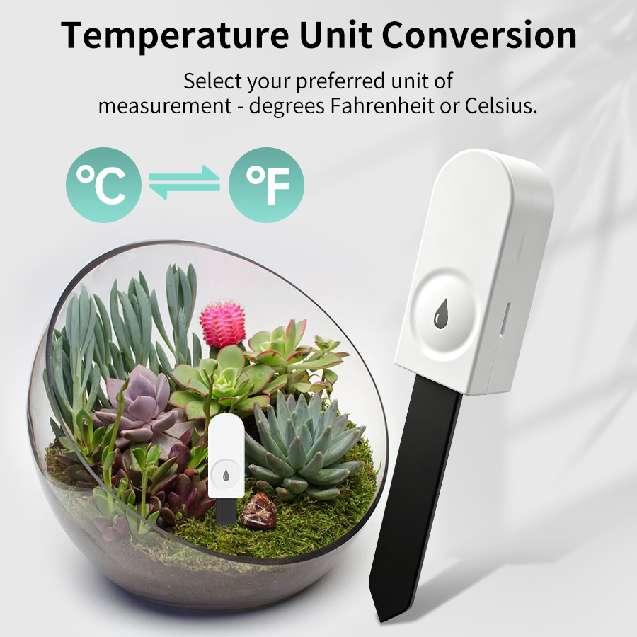 Testeur de sol intelligent Zig - Tissue Culture Plant avis et prix