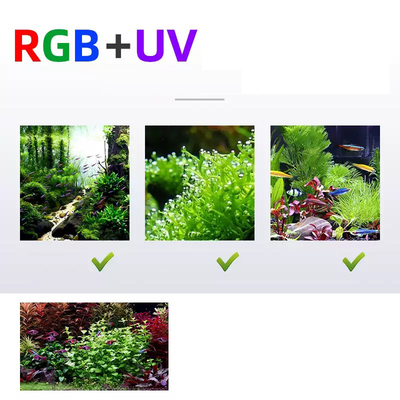 Éclairage Led 60cm 80cm 90cm R - Planted Aquarium For Sale avis et prix