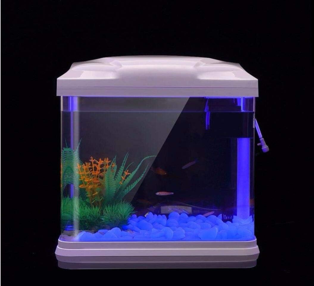 Roches d'aquarium scintillante - Aquarium Planting Ideas avis et prix