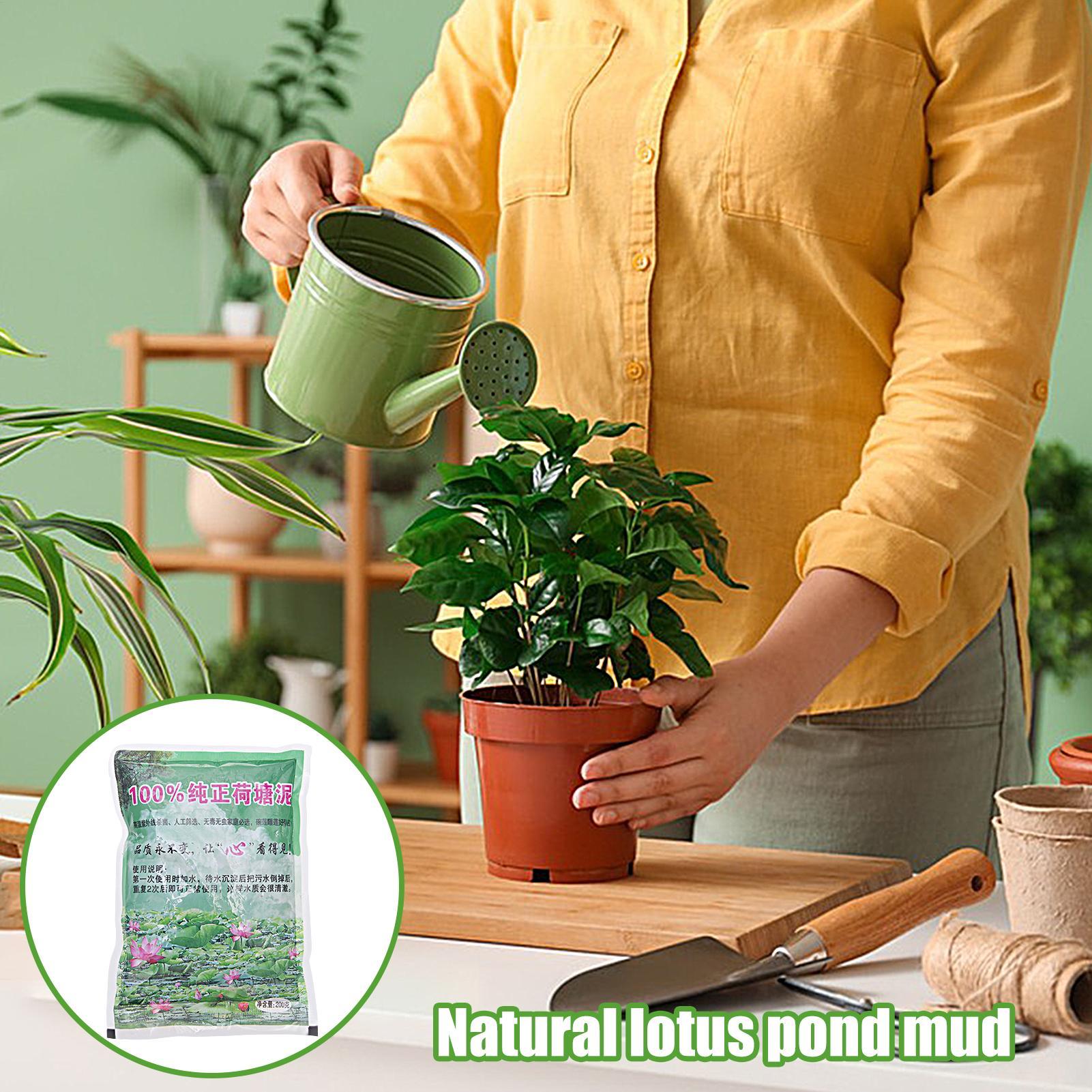Sable nutritif naturel pour aq - Aquarium Plant Seeds avis et prix
