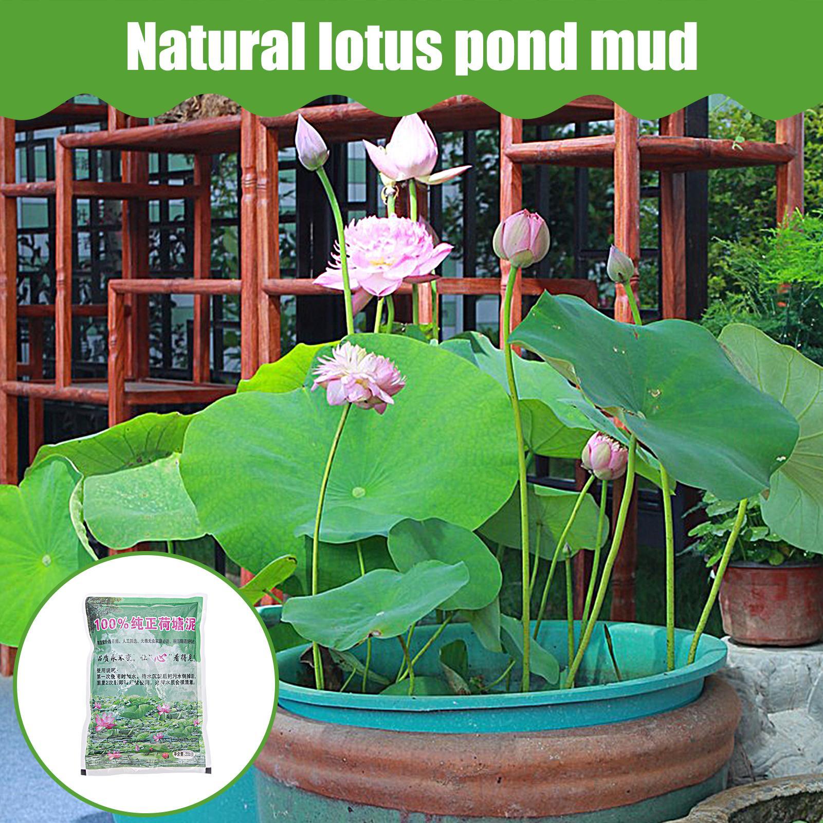 Sable nutritif naturel pour aq - Aquarium Plant Seeds avis et prix