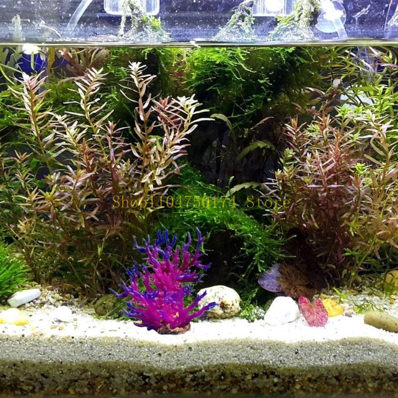 Arbre artificiel décoratif, pl - Planted Aquarium For Sale avis et prix