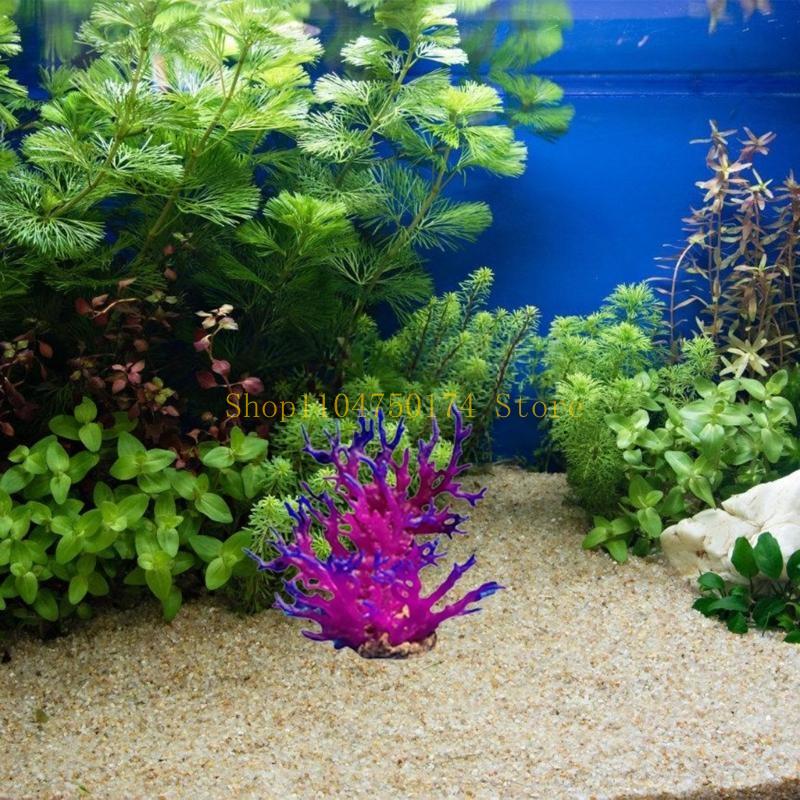 Arbre artificiel décoratif, pl - Planted Aquarium For Sale avis et prix