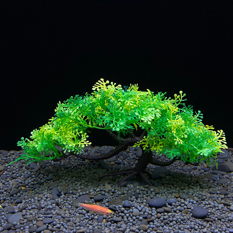 Bonsaï d'aquarium, plante, déc - Aquarium Plant Seeds avis et prix