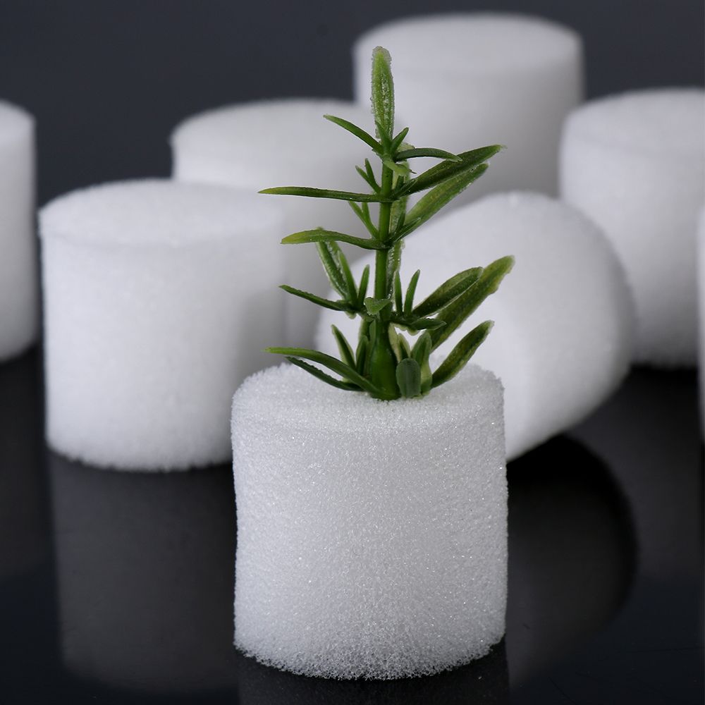 10/50pcs Durable Fournitures D - Aquarium Plant Seeds avis et prix