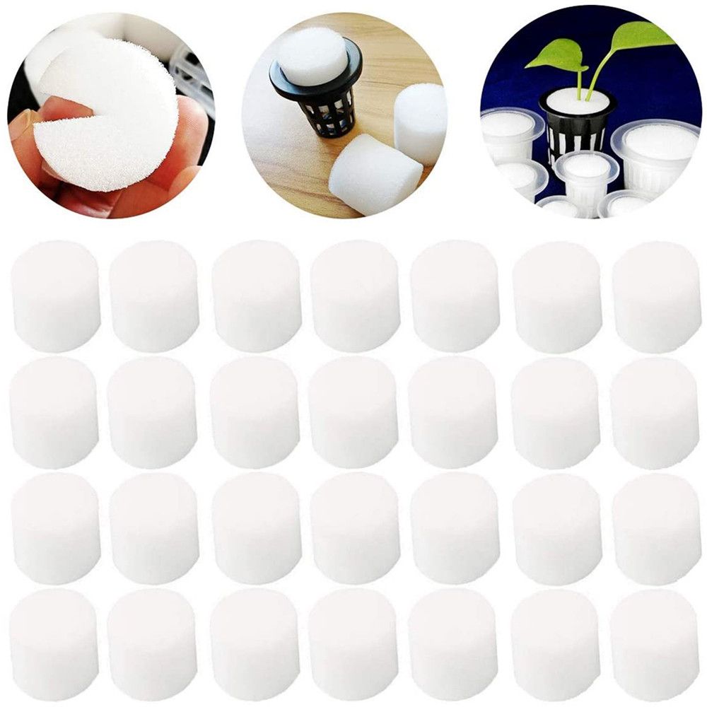 10/50pcs Durable Fournitures D - Aquarium Plant Seeds avis et prix