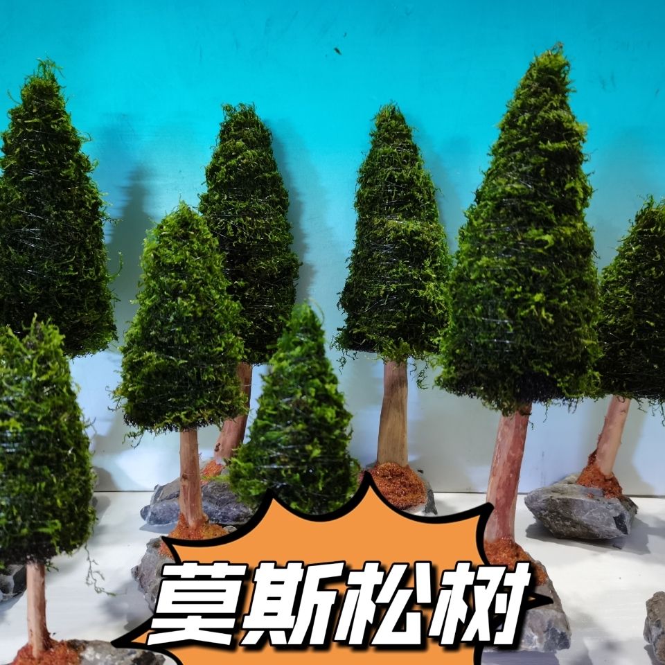 Décoration d'aquarium avec pla - Aquarium Plant Seeds avis et prix